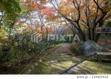 秋の紅葉が美しい熊本の風景 秋の紅葉が美しい熊本の風景 134404428