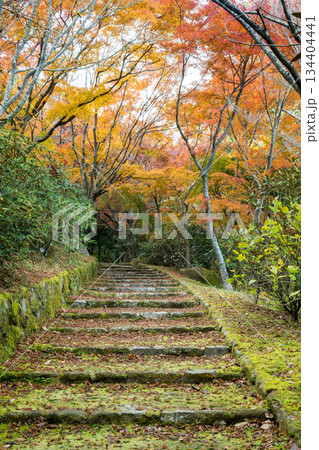 秋の紅葉が美しい熊本の風景 秋の紅葉が美しい熊本の風景 134404441