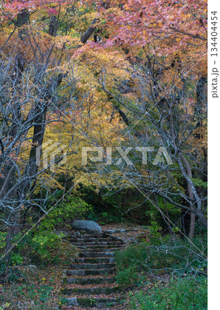 秋の紅葉が美しい熊本の風景 134404454