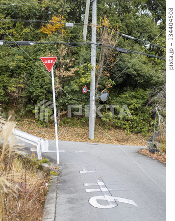 峠道の小さな交差点 峠道の小さな交差点 134404508