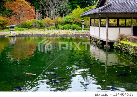栃木県鹿沼市 秋の古峯園 栃木県鹿沼市 秋の古峯園 134404515
