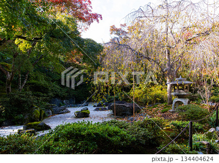 京都、宝筐院の庭園 京都、宝筐院の庭園 134404624
