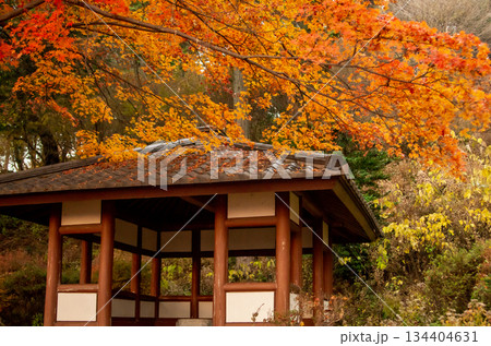 栃木県那須塩原市 秋の烏ケ森公園 栃木県那須塩原市 秋の烏ケ森公園 134404631