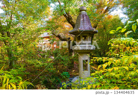 京都、宝筐院の庭園 京都、宝筐院の庭園 134404635