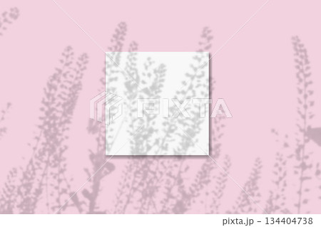 Natural light casts shadows from the field grass on square sheet of white paper lying on a pink background. Mockup 134404738