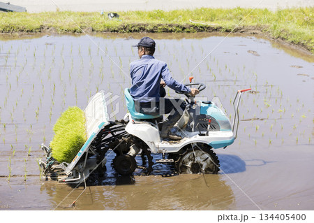 田植え機で田植えをするミドル男性 米農家 田植え機で田植えをするミドル男性 米農家 134405400