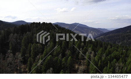 Flying over endless green forest and mountains. Media Flying over endless green forest and mountains. Media 134405477