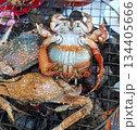 Grilled crabs 134405666