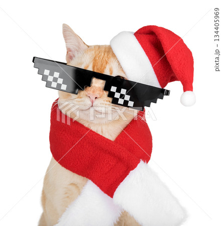A ginger cat in a New Years costume and glasses A ginger cat in a New Years costume and glasses 134405969