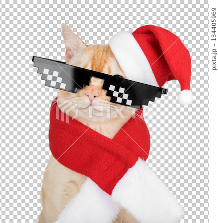 A ginger cat in a New Years costume and glasses 134405969