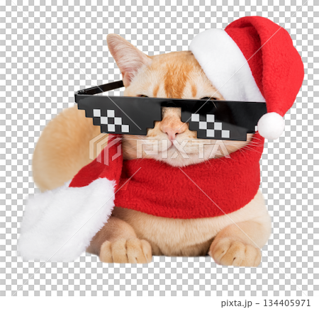 A ginger cat in a New Years costume and glasses A ginger cat in a New Years costume and glasses 134405971