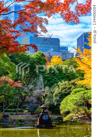紅葉(日比谷公園) 紅葉(日比谷公園) 134406084