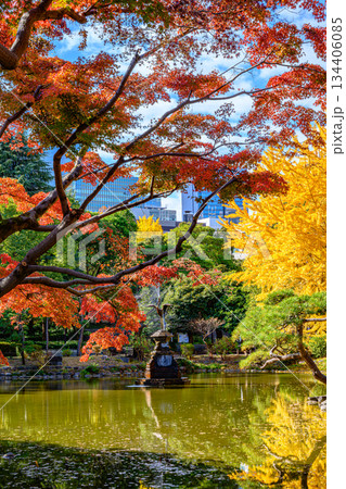 紅葉(日比谷公園) 紅葉(日比谷公園) 134406085