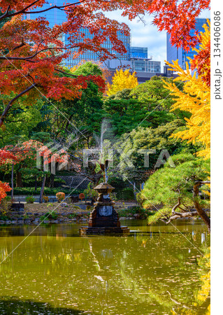 紅葉（日比谷公園） 134406086