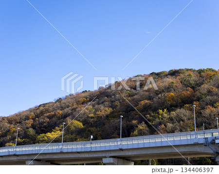 枯木と紅葉が交じる冬の山と高速道路の高架 枯木と紅葉が交じる冬の山と高速道路の高架 134406397