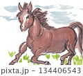 干支の馬 134406543