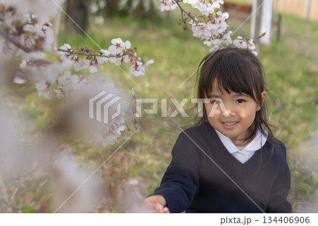 桜の下で笑顔を見せる幼稚園児の女の子 134406906