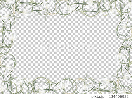 Snowdrop flower frame 134406922