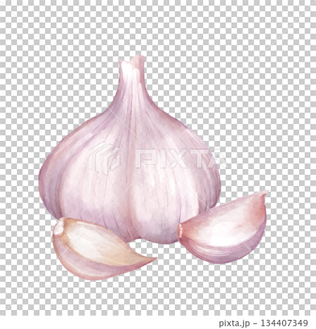 Watercolor illustration of garlic bulb and detached cloves. Design for cooking blog decor, restaurant menu, recipe card, or healthy food packaging. 134407349