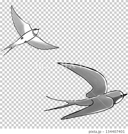 ツバメ_モノクロ ツバメ_モノクロ 134407401