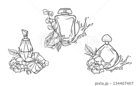 Perfume bottle outline with blooming rose and splash effect hand drawn. Black white vector illustrations set for feminine gift packaging and print. Line art for Valentine Day, beauty cosmetic design. 134407407