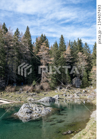 Summer time at romantic forest Lake Obernberg scenic mountain lakes landscape in Austria, Tyrol 134407493