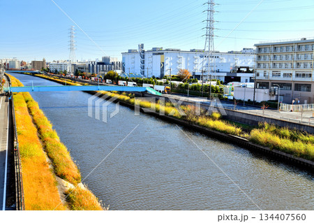 笹目橋／新河岸川より下流(早瀬人道橋)方向を望む(東京都板橋区)【2025.11】 134407560