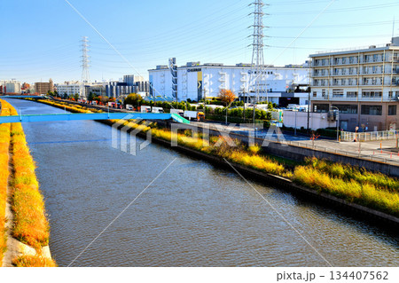 笹目橋／新河岸川より下流(早瀬人道橋)方向を望む(東京都板橋区)【2025.11】 134407562