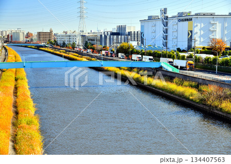笹目橋／新河岸川より下流(早瀬人道橋)方向を望む(東京都板橋区)【2025.11】 134407563