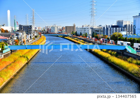 笹目橋／新河岸川より下流(早瀬人道橋)方向を望む(東京都板橋区)【2025.11】 134407565