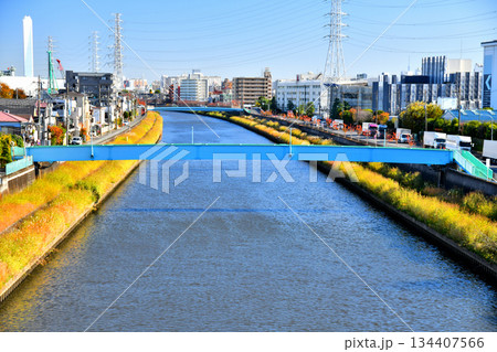 笹目橋／新河岸川より下流(早瀬人道橋)方向を望む(東京都板橋区)【2025.11】 134407566
