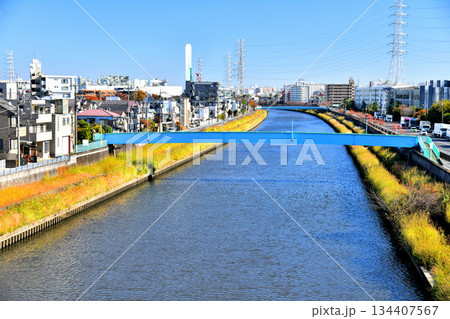 笹目橋／新河岸川より下流(早瀬人道橋)方向を望む(東京都板橋区)【2025.11】 134407567
