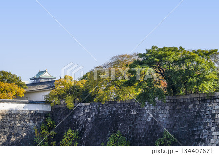 大阪城 南外堀 大阪城 南外堀 134407671