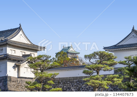 大阪城 134407673