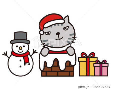 猫のクリスマス 134407685