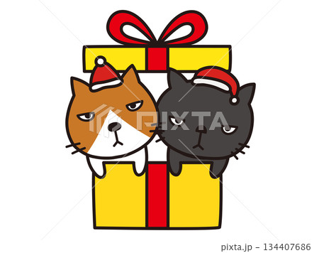 プレゼント猫 134407686