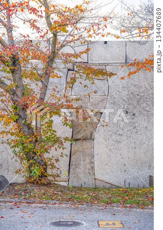 大阪城 大手口の巨石 大阪城 大手口の巨石 134407689