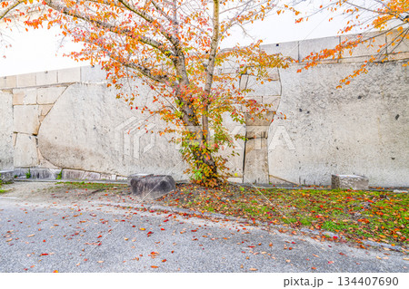 大阪城　大手口の巨石 134407690