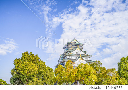 大阪城天守閣 134407724