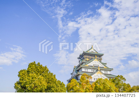 大阪城天守閣 134407725