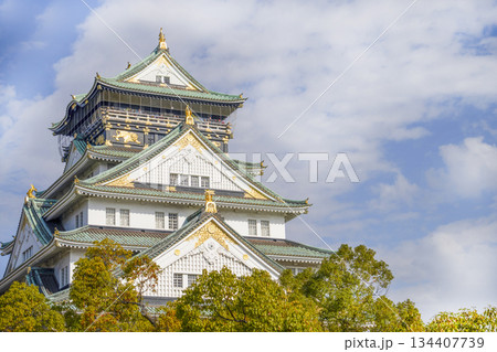 大阪城天守閣 134407739