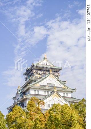 大阪城天守閣 大阪城天守閣 134407768