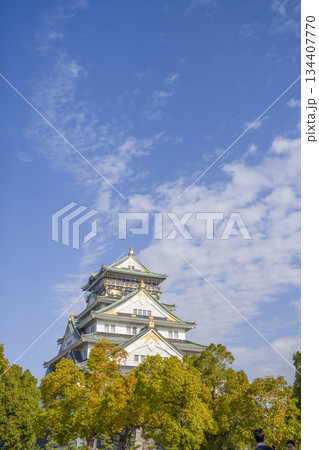 大阪城天守閣 134407770