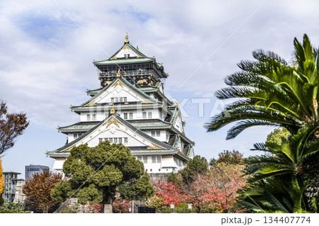 大阪城天守閣 134407774