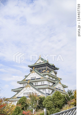 大阪城天守閣 大阪城天守閣 134407789