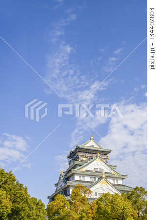 大阪城天守閣 大阪城天守閣 134407803