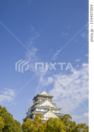 大阪城天守閣 134407804