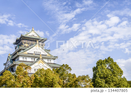 大阪城天守閣 134407805