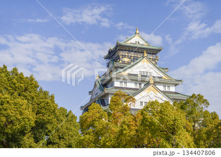 大阪城天守閣 134407806