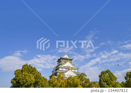 大阪城天守閣 大阪城天守閣 134407812